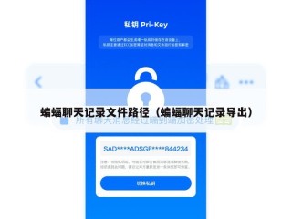 蝙蝠聊天记录文件路径（蝙蝠聊天记录导出）