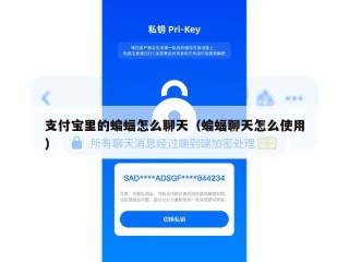 支付宝里的蝙蝠怎么聊天（蝙蝠聊天怎么使用）