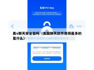 美v聊天安全低吗（美国聊天软件用得最多的是什么）