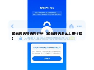 蝙蝠聊天等级排行榜（蝙蝠聊天怎么上排行榜）