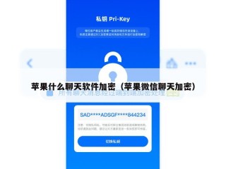 苹果什么聊天软件加密（苹果微信聊天加密）