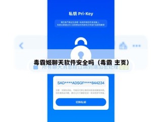 毒霸姬聊天软件安全吗（毒霸 主页）