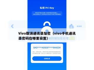 Vivo取消通讯录加密（vivo手机通讯录密码在哪里设置）