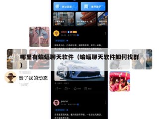 哪里有蝙蝠聊天软件（蝙蝠聊天软件如何找群）