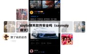 saylo聊天软件安全吗（saynsay聊天）