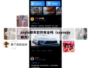 saylo聊天软件安全吗（saynsay聊天）