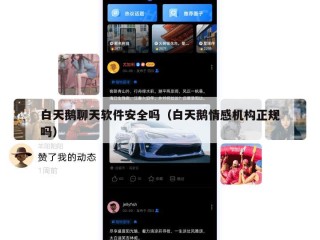白天鹅聊天软件安全吗（白天鹅情感机构正规吗）