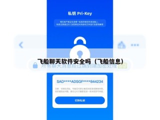 飞船聊天软件安全吗（飞船信息）