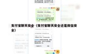 支付宝聊天安全（支付宝聊天安全还是微信安全）