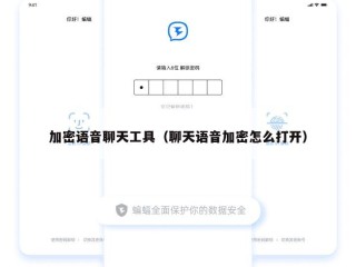加密语音聊天工具（聊天语音加密怎么打开）