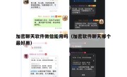 加密聊天软件微信能用吗（加密软件聊天哪个最好用）
