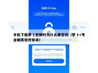 手机下载萝卜密聊时为什么要密码（萝卜+专业聊天软件安卓）
