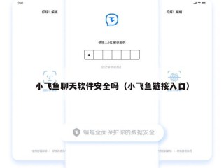 小飞鱼聊天软件安全吗（小飞鱼链接入口）