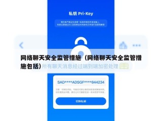 网络聊天安全监管措施（网络聊天安全监管措施包括）