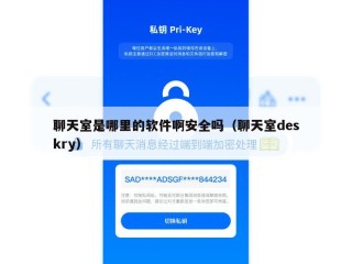 聊天室是哪里的软件啊安全吗（聊天室deskry）
