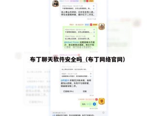布丁聊天软件安全吗（布丁网络官网）