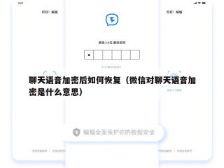 聊天语音加密后如何恢复（微信对聊天语音加密是什么意思）